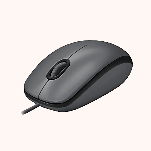 Computer Mouse